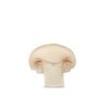 manolo-the-mushroom (2)