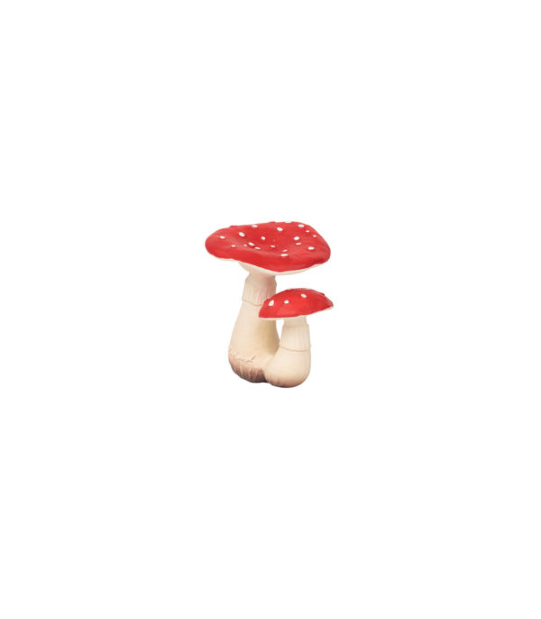 spot-the-mushroom (1)