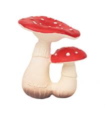 spot the mushroom