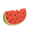 wally-the-watermelon (8)